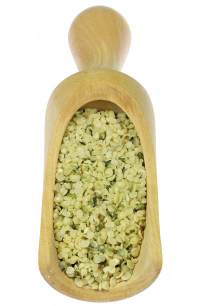 istock hemp seeds in a wooden weighing scoop 1609382785