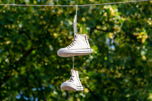 White sneakers hanging on wires against the tree