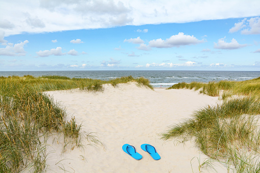 View to beautiful landscape with beach and sand dunes near Henne Strand, Jutland Denmark