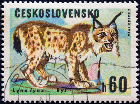 CZECHOSLOVAKIA - CIRCA 1966: A stamp printed in Czechoslovakia from the \