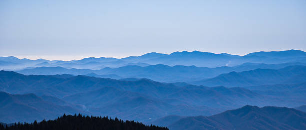 Blue Ridge Mountains The Blue Ridge Mountains, viewed from Clingmans Dome in the Great Smoky Mountains National Park, near Gatlinburg, Tennessee. A ridge of pine tress in the foreground. blue ridge mountains photos stock pictures, royalty-free photos & images
