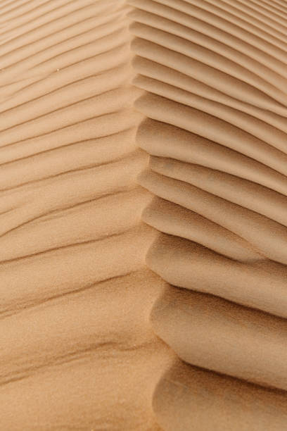 istock Sand Texture. Close up Photo of Desert Dune 1609438165