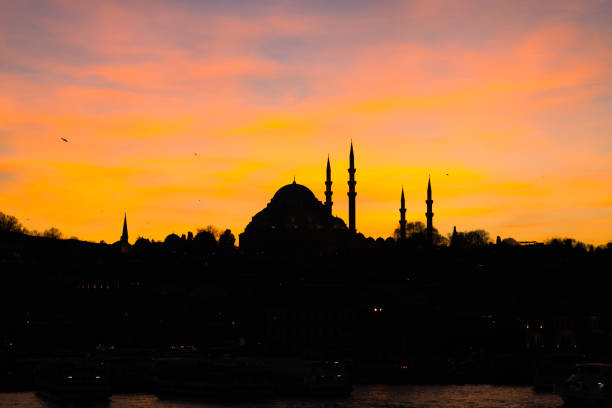 istock Silhouette of Suleymaniye Mosque at sunset 1609440056