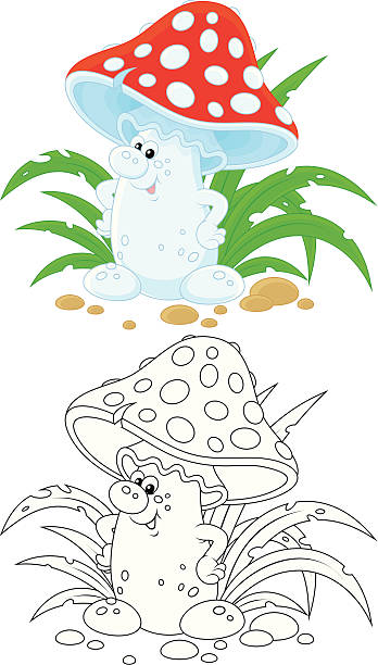 플라이에는 agaric - 알광대버섯 stock illustrations