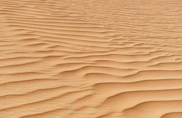 istock Sand Texture. Close up Photo of Desert Dune 1609457422