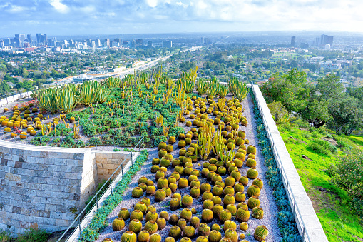 Panoramic view of Los Angeles as seen from Getty Center's delightful Cactus Garden.