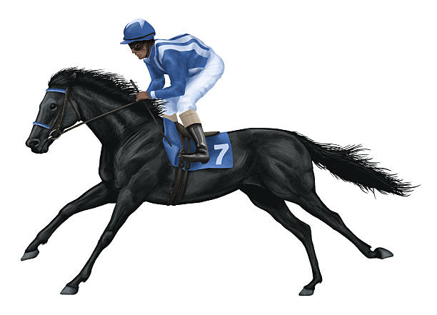 Vector drawing of black racehorse vector art illustration