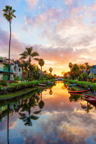 захватывающие сумерки на венецианском канале в калифорнии - palm tree california city of los angeles venice beach стоковые фото и изображения