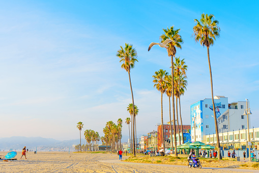 Los Angeles, California - December 29, 2022:People Enjoying the Beach Bliss at Venice Beach on a Sunny Winter Day