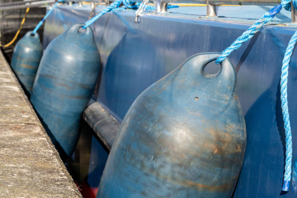 istock fenders protecting the side of a moored ship 1609467270