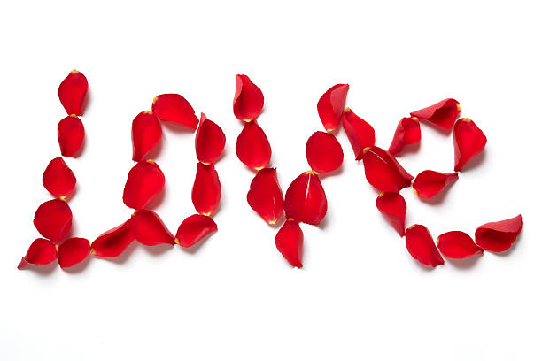 istock Red rose petals spelling the word love 160946857