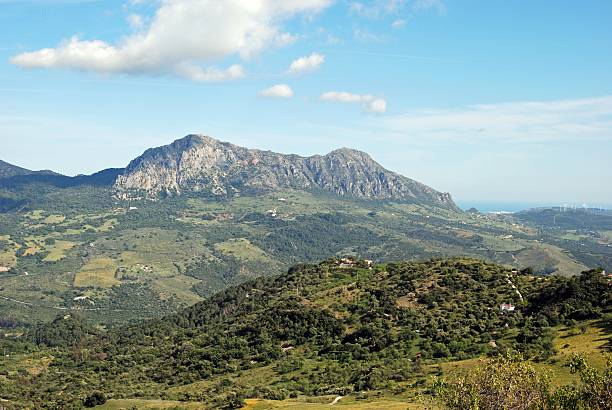 istock Andalusian countryside, Andalusia, Spain. 160949242