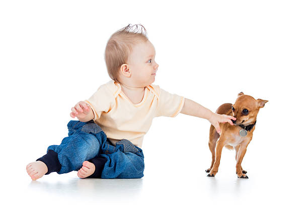 istock funny baby boy and dog isolated on white background 160949266