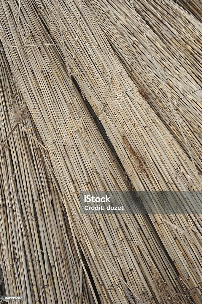 Pacotes de reed - Foto de stock de Arquitetura royalty-free