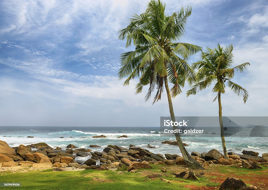 Coast ocean Coast ocean. Beautiful shores of the Indian ocean At The Edge Of Stock Photo