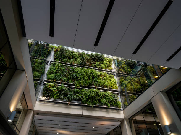 istock Plants on a wall of a futuristic office / mall complex 1609538106