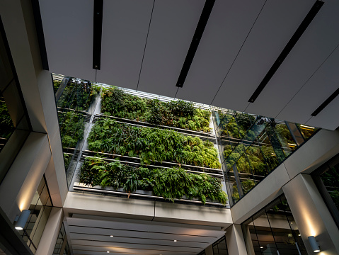 Plants on a wall of a futuristic office / mall complex