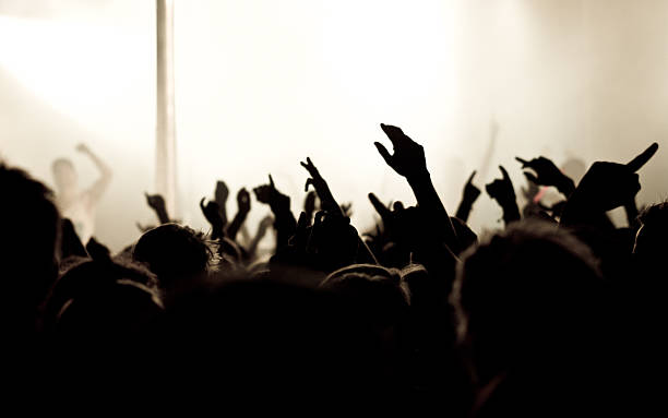 istock Concert crowd - Hands in the air 160956381