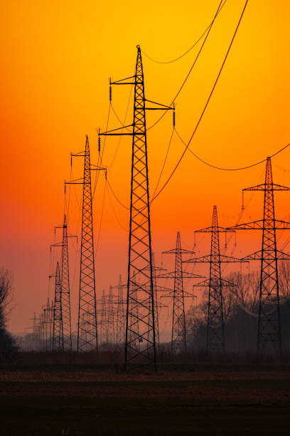 istock Electricity pylon with trees on rural field 1609592742