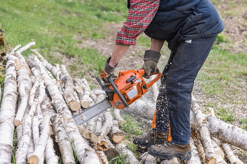 Senior male lumberjack wearing protective gloves covered in sawdust cutting firewood with chain saw at forest