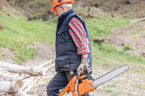 Senior lumberjack wearing hardhat carrying chainsaw while walking in forest for preparation of winter