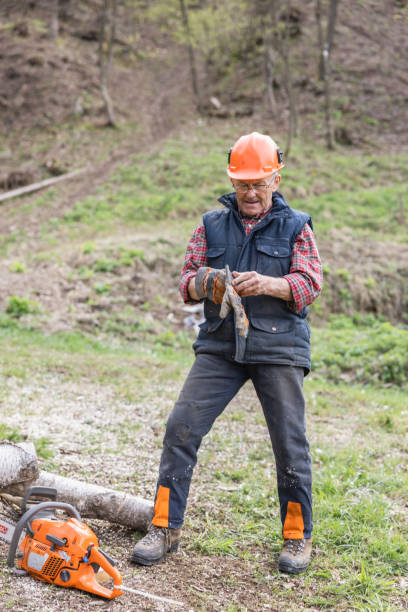 istock Senior lumberjack wearing gloves while standing by chainsaw after cutting wood 1609604200