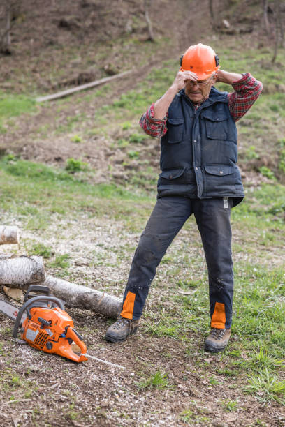 istock Elderly lumberjack wearing hardhat while standing by chainsaw after cutting wood 1609604233