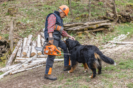 Elderly male lumberjack wearing hardhat stroking pet dog while holding chainsaw by wood pile in forest during winter