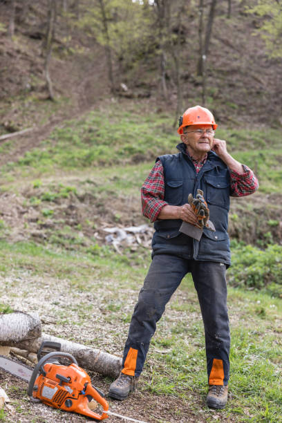 istock Male lumberjack removing hardhat while holding gloves after deforestation 1609604321