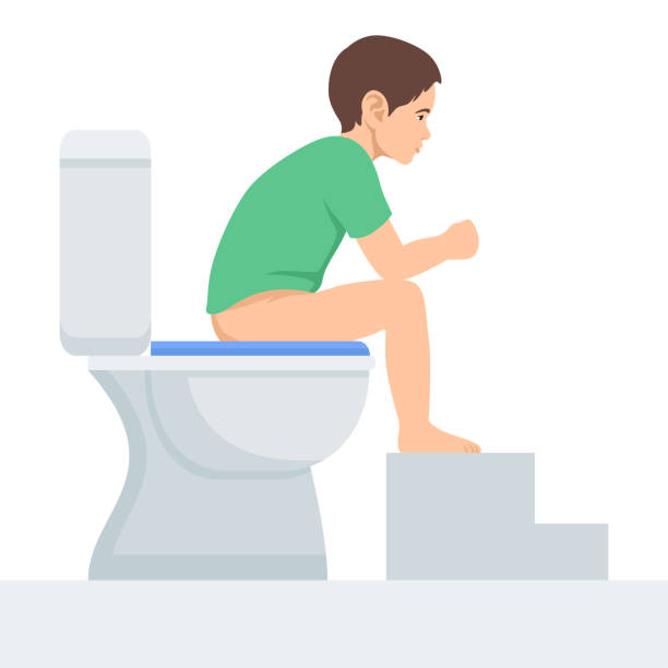 Baby boy sitting on toilet bowl in unhealthy posture vector illustration. Cartoon funny preschool kid training to use toilet with foot bench in restroom. Baby boy sitting on toilet bowl in unhealthy posture vector illustration. Cartoon funny preschool kid training to use toilet with foot bench in restroom. Flat vector illustration isolated on white background squat toilet stock illustrations