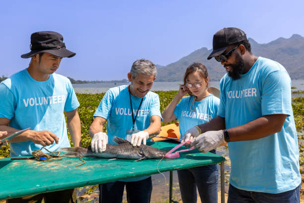 istock Team of ecologist volunteer pulling non biodegradable micro plastic from the endanger species fish due to the irresponsible waste littering into the ocean for climate change and saving nature 1609630855