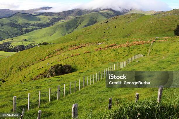 Atemberaubende Landschaft Stockfoto und mehr Bilder von Agrarbetrieb - Agrarbetrieb, Akaroa, Anhöhe