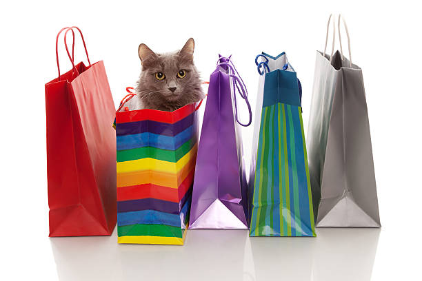 abbiamo acquistato una categoria - domestic cat bag shopping gift foto e immagini stock