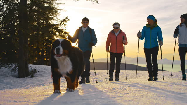 SLO MO A group of four people is hiking with their dog in snow in the evening