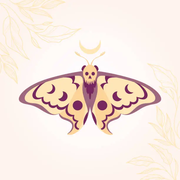 Vector illustration of Vector drawing of a night butterfly with a skull. Hawk hawk with a skull.