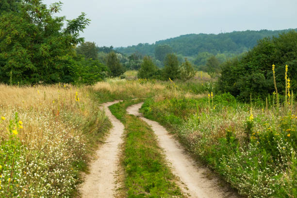 istock Road through a meadow in the countryside with forest and deciduous trees 1609718525