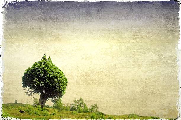 istock Green field and pair of trees heart-shaped 160975902