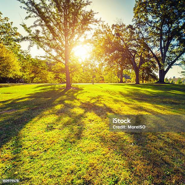 Foto de Pôrdosol No Parque Atlanta e mais fotos de stock de Geórgia - Sul dos Estados Unidos - Geórgia - Sul dos Estados Unidos, Parque público, Ajardinado