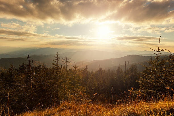 lumière du soleil dans les montagnes - great smoky mountains flash photos et images de collection