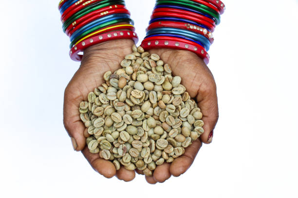 istock Holding some Green coffee beans in hand top view 1609814210