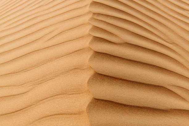 istock Sand Texture. Close up Photo of Desert Dune 1609814909
