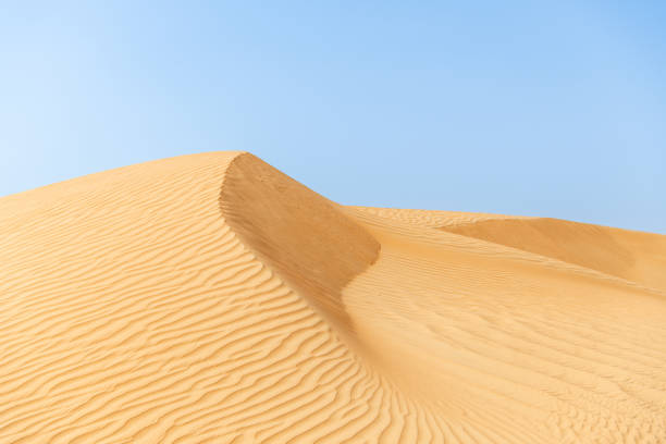 istock Lonely Golden Sand Dunes Under Bright Blue Sky. Desert Landscape 1609828872