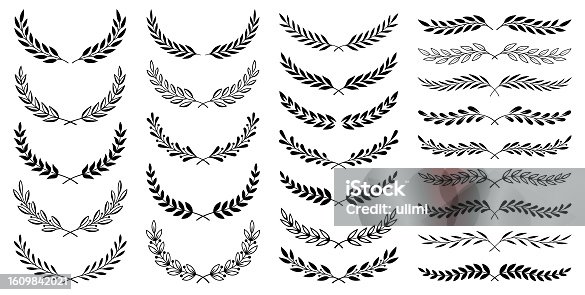 istock Floral wreaths and dividers 1609842021