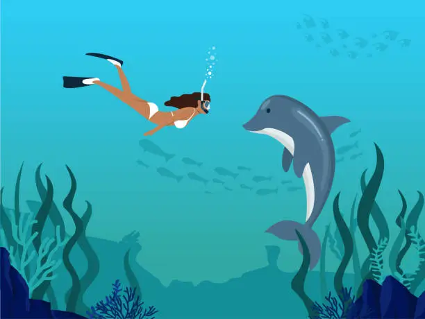 Vector illustration of Woman diver swimming with wild dolphins in ocean. Free diving underwater concept poster. Girl biologist snorkeling with animals.