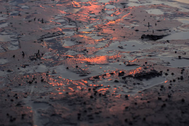 This sea sand appears to be exposed to orange light and this light is starting to dim because the sun is starting to set
