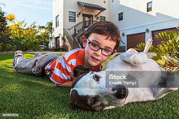少年と彼の犬 - ペットのストックフォトや画像を多数ご用意 - ペット, 芝生地, 1人