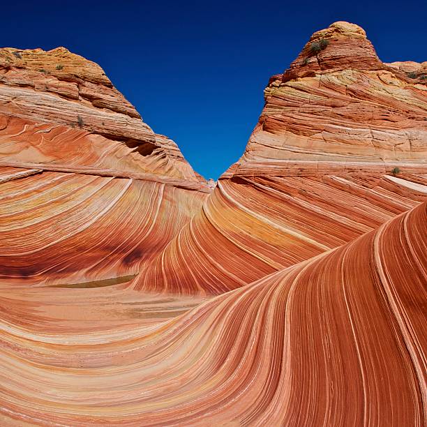 istock Fantastic Wave - Coyote Buttes, Vermillion Cliffs N.P. 160987584