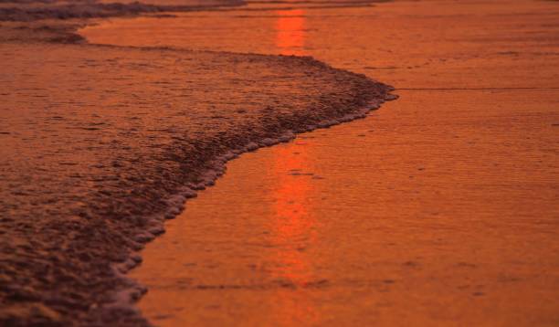 istock Water and sand at the beach in sunset time 1609905780