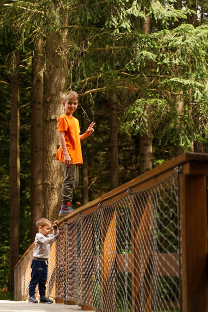 Two boys having fun on a wooden bridge.