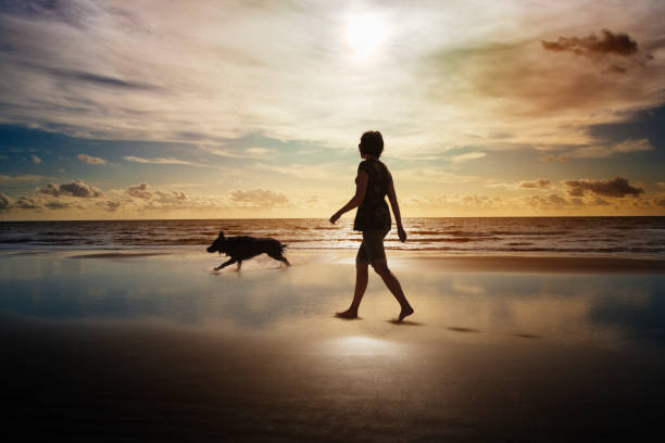 silhueta de mulher e cão a caminhar pela praia - dog tranquil scene pets animals and pets imagens e fotografias de stock